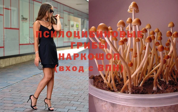 a pvp Нефтекумск