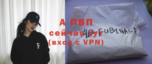 спиды Нея