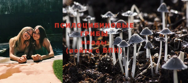спиды Нея