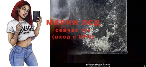 спиды Нея